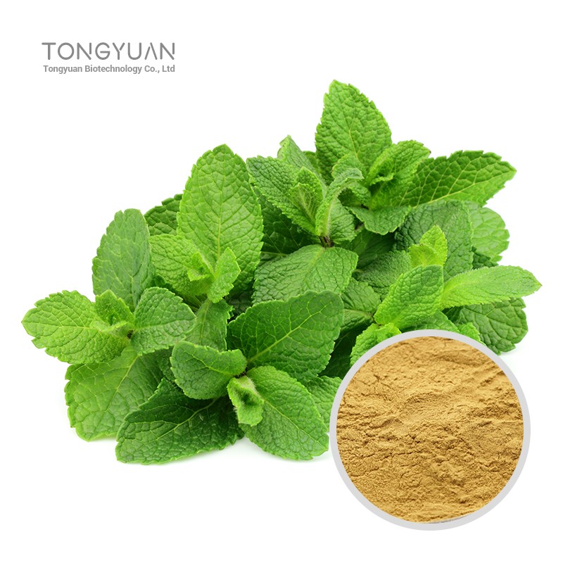 薄荷提取物 (1)