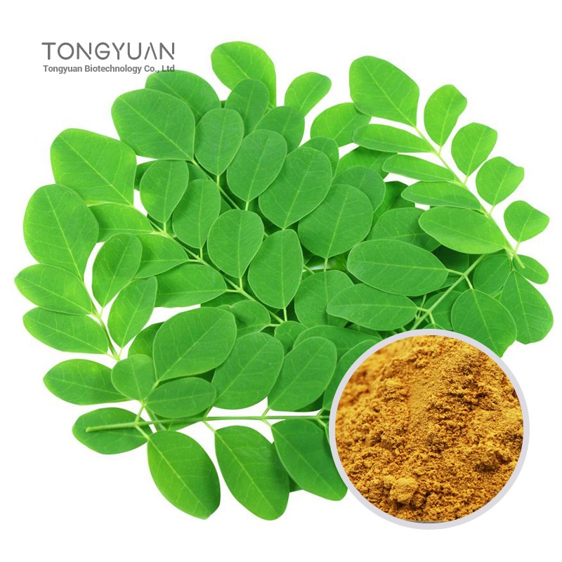 Moringa Leaf Extract-1