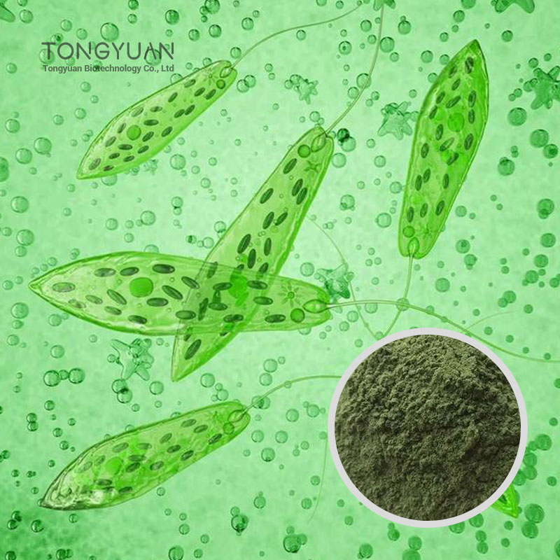 裸藻提取物