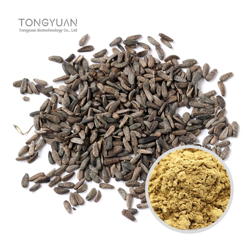 牛蒡子提取物 (1)