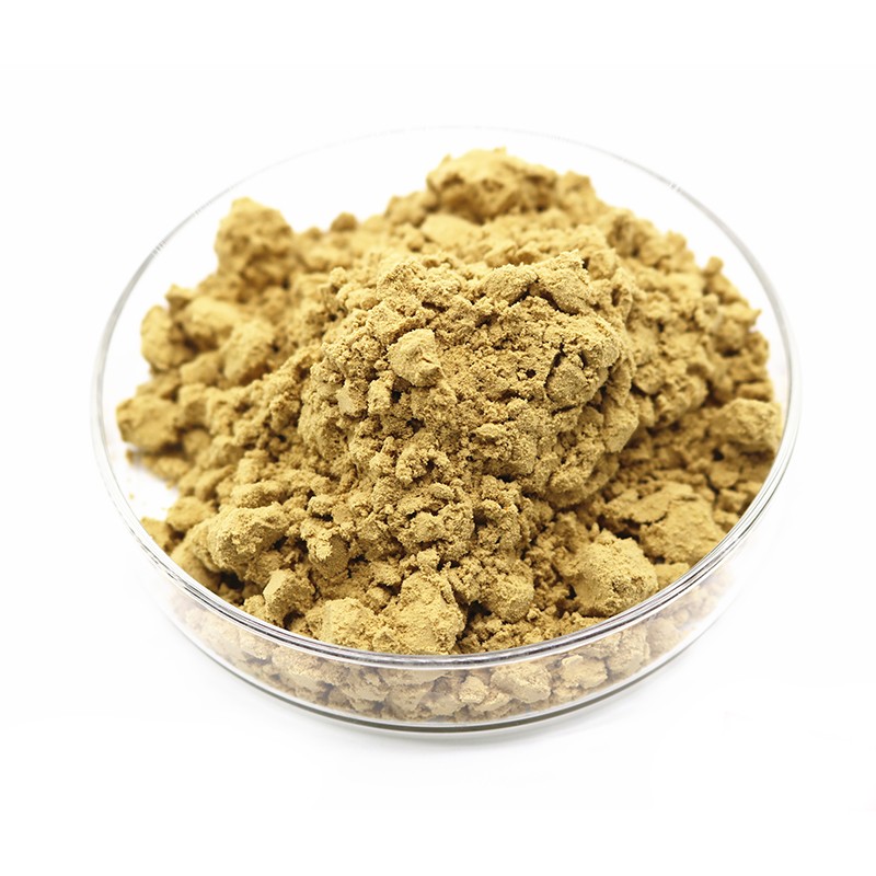 牛蒡子提取物 (3)