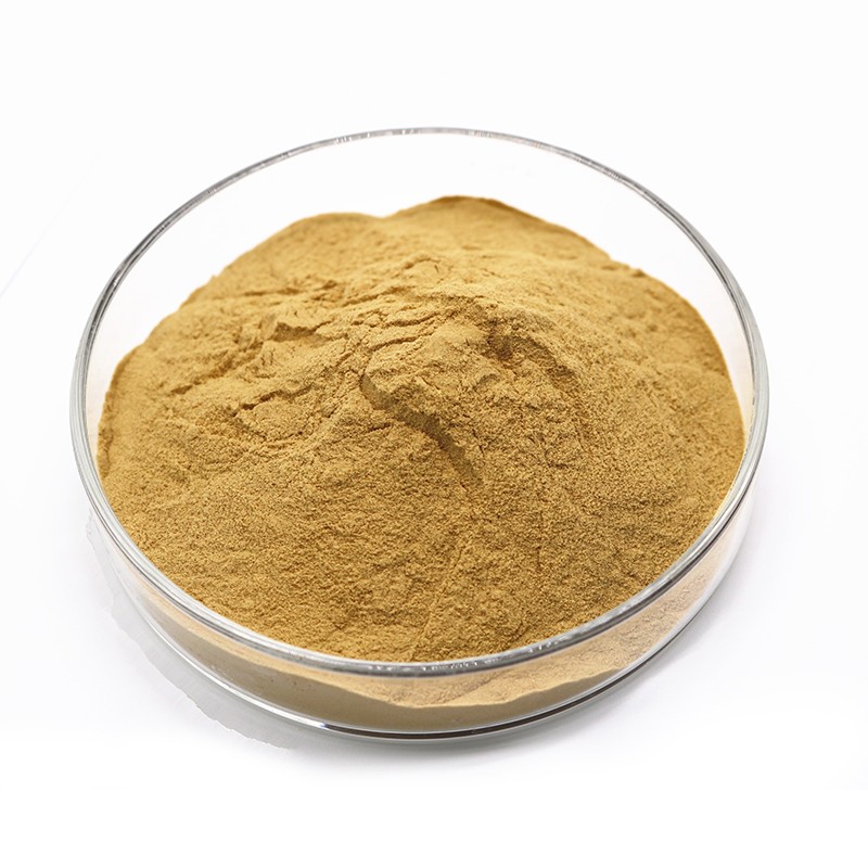 何首烏提取物 (3)